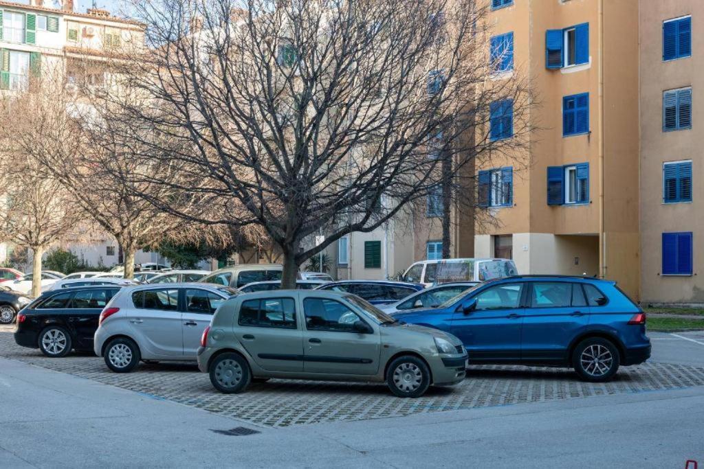 Lav Rovinj